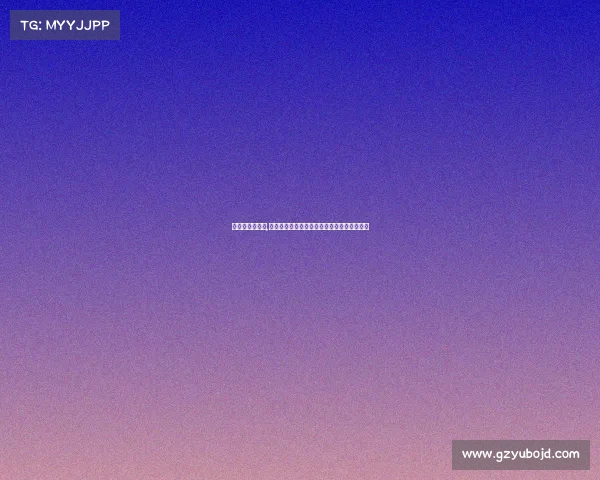 赛事授权书英文,赛事授权书英文文档官方格式指南与使用说明